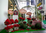 [setia]photo1.jpg By S P Setia for The Edge